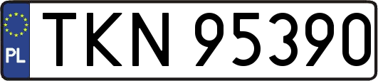 TKN95390
