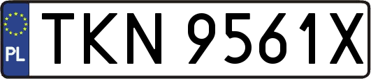 TKN9561X