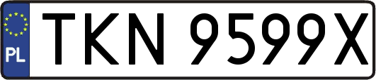 TKN9599X