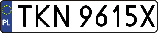 TKN9615X
