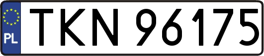 TKN96175