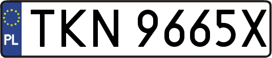 TKN9665X