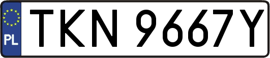 TKN9667Y