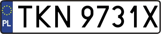TKN9731X