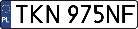TKN975NF
