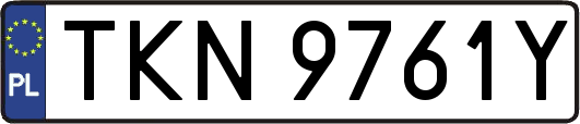 TKN9761Y