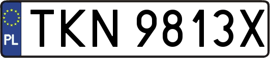 TKN9813X