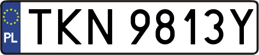 TKN9813Y