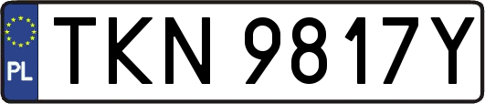 TKN9817Y