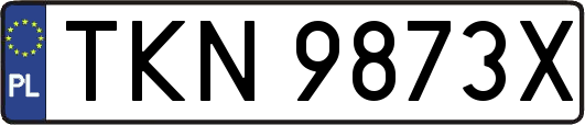 TKN9873X
