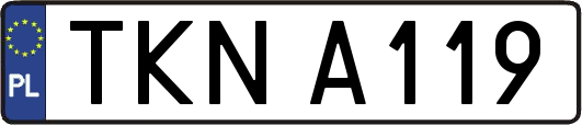 TKNA119