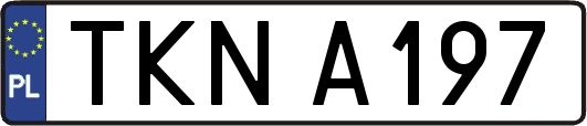 TKNA197
