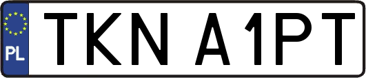 TKNA1PT