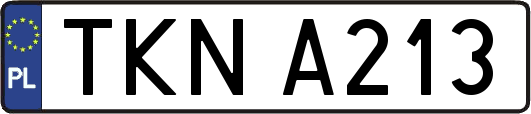 TKNA213
