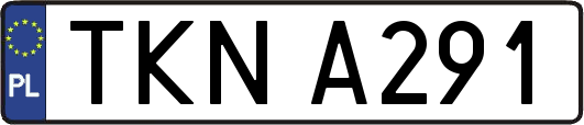 TKNA291