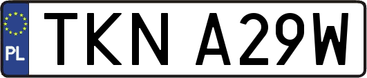 TKNA29W