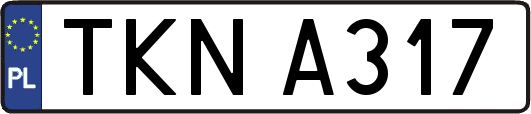 TKNA317