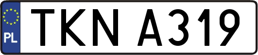TKNA319