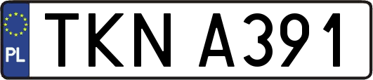 TKNA391