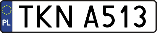 TKNA513