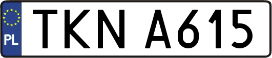 TKNA615