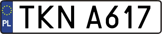 TKNA617