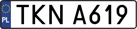 TKNA619