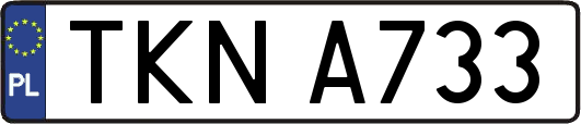 TKNA733