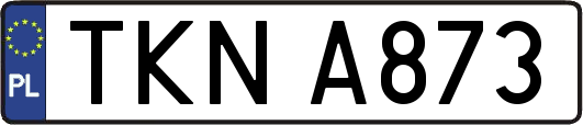 TKNA873