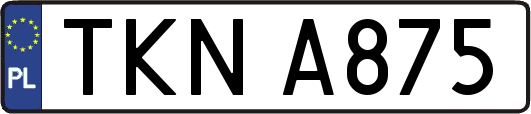 TKNA875