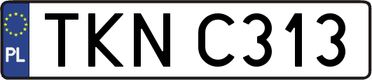 TKNC313