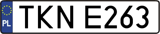 TKNE263