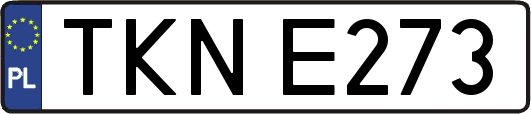 TKNE273