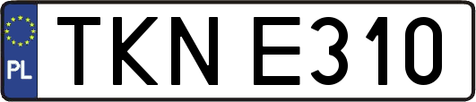 TKNE310