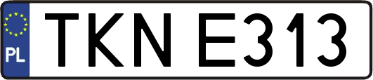 TKNE313