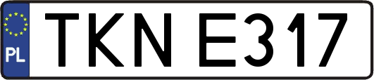 TKNE317