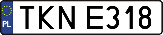 TKNE318