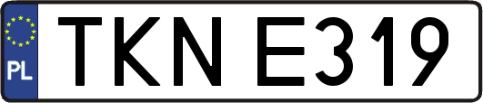 TKNE319
