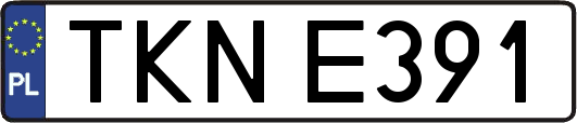 TKNE391