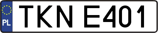 TKNE401