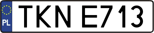 TKNE713
