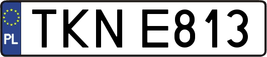 TKNE813