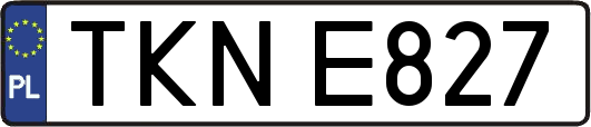 TKNE827