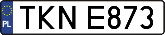 TKNE873