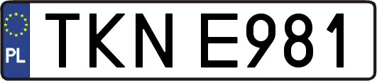 TKNE981