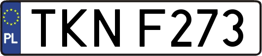 TKNF273