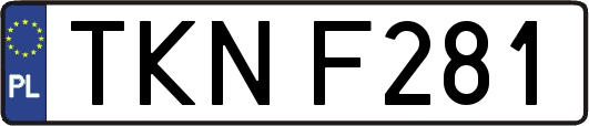 TKNF281