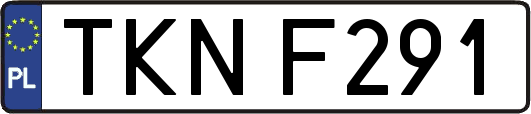TKNF291