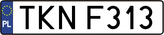 TKNF313