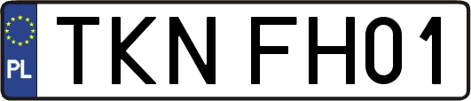 TKNFH01